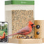 Cámara inteligente alimentadora pájaros visión nocturna IP66