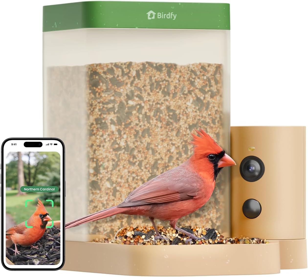 Cámara inteligente alimentadora pájaros visión nocturna IP66