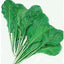 Semillas nabo 3400 produce solo verduras