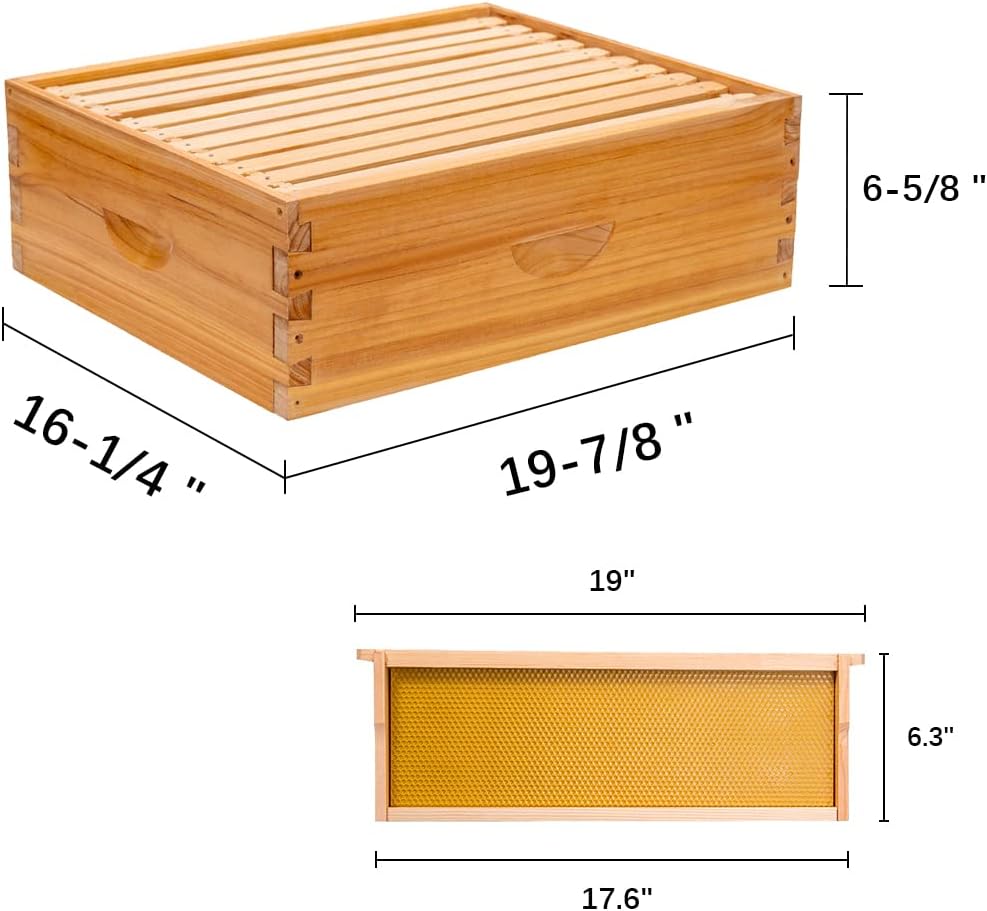 Caja colmena Langstroth Medium 10 Marcos con Bases Enceradas