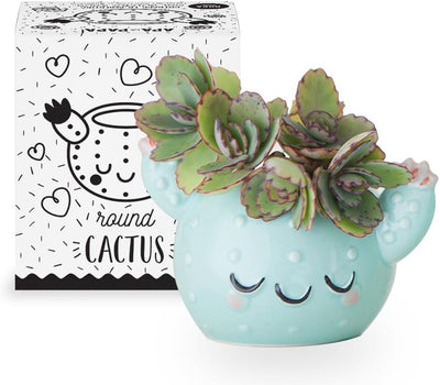 Maceta Cerámica Smiley Cactus 3x4pulg Interior Exterior