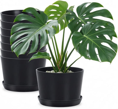 Macetas plástico 4.7" 8uds negro con bandeja drenaje