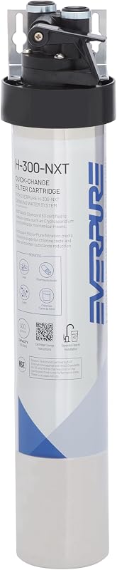 Sistema agua potable Pentair H-300-NXT 300gal NSF