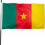 Bandera Camerún 3x5ft poliéster resistente