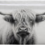 Cesta almacenamiento vacas altas con asas plegable sala estar
