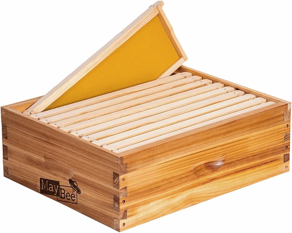 Caja colmena Langstroth Medium 10 Marcos con Bases Enceradas