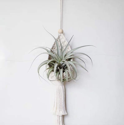 2 Perchas Macramé Cesta Colgante Bohemia Decoración Hogar