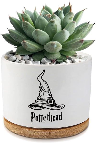 Macetas cerámica suculentas cactus drenaje decoración oficina