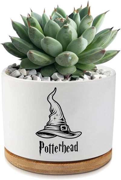 Macetas cerámica suculentas cactus drenaje decoración oficina
