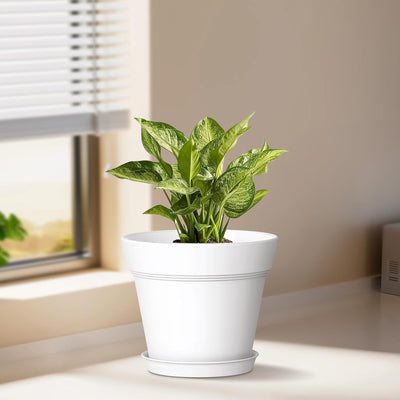 Macetas plástico 7" drenaje bandejas set 6 para plantas