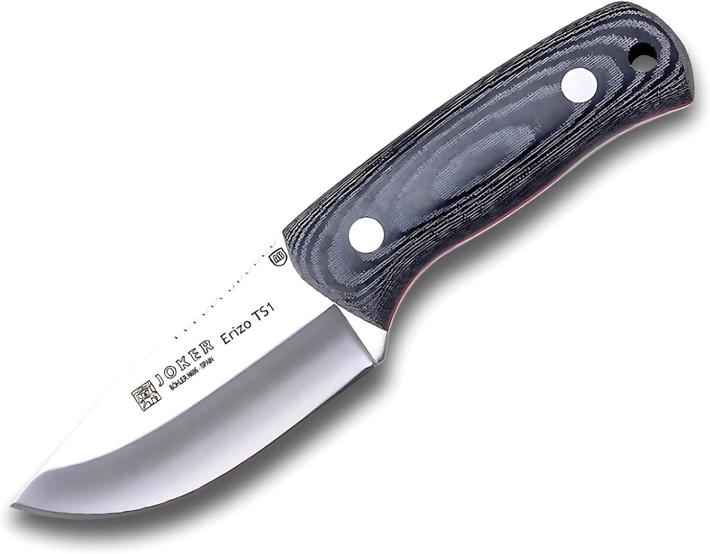 Cuchillo supervivencia 2.95pulg funda Kydex cuerda 550