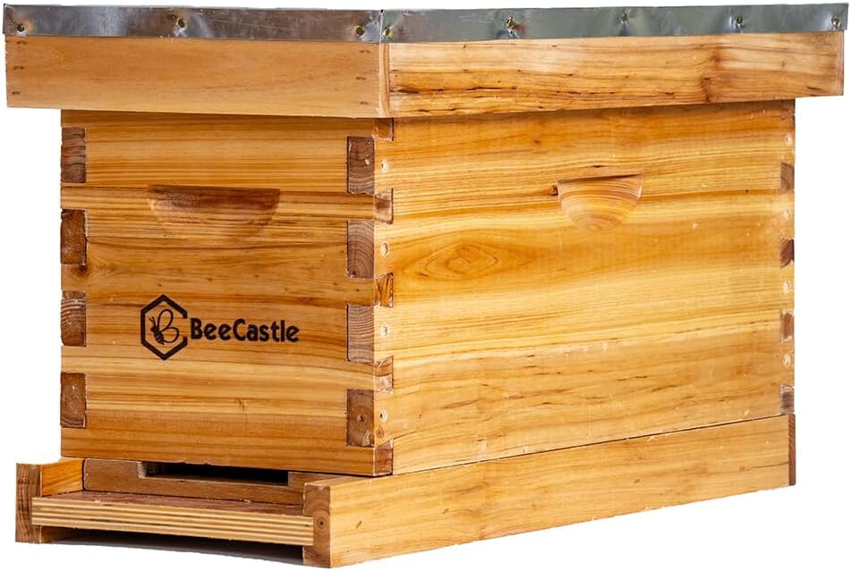 Caja 5 marcos colmena encerados con cera de abeja