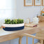 Cesta tejida para inodoro 13x5.9x4" blanco costuras azul