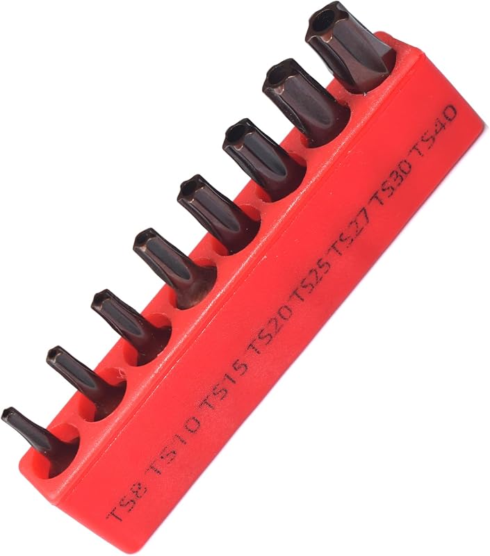 Set 8 Puntas Destornillador Torx TS8-TS40 1pulg