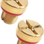 Tornillo purga manguera refrigerante LR4 10-16 2 Pzas