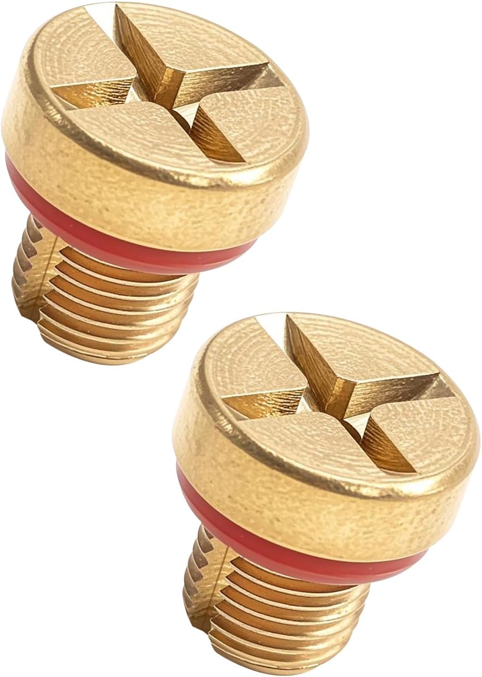Tornillo purga manguera refrigerante LR4 10-16 2 Pzas