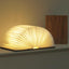Lámpara libro madera 5.7pulg led plegable hogar biblioteca