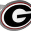Cubierta enganche remolque Georgia Bulldogs