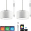 Lámpara colgante con enchufe 15ft doble pantalla blanca