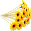 100 Palillos Bambú Brochetas Aperitivo 4.7pulg Girasol