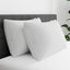 Set 4 protectores almohada AllerEase con cremallera poliéster