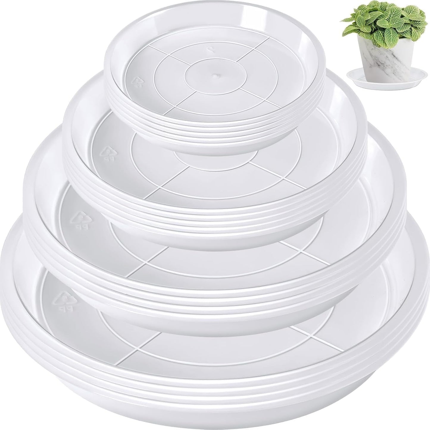 Bandeja macetas 18 pzas transparente 4/6pulg repelente agua
