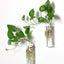 Macetero colgante terrario cristal soporte plantas
