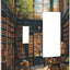 Placa interruptor 2 gang toggle basculante decorativa