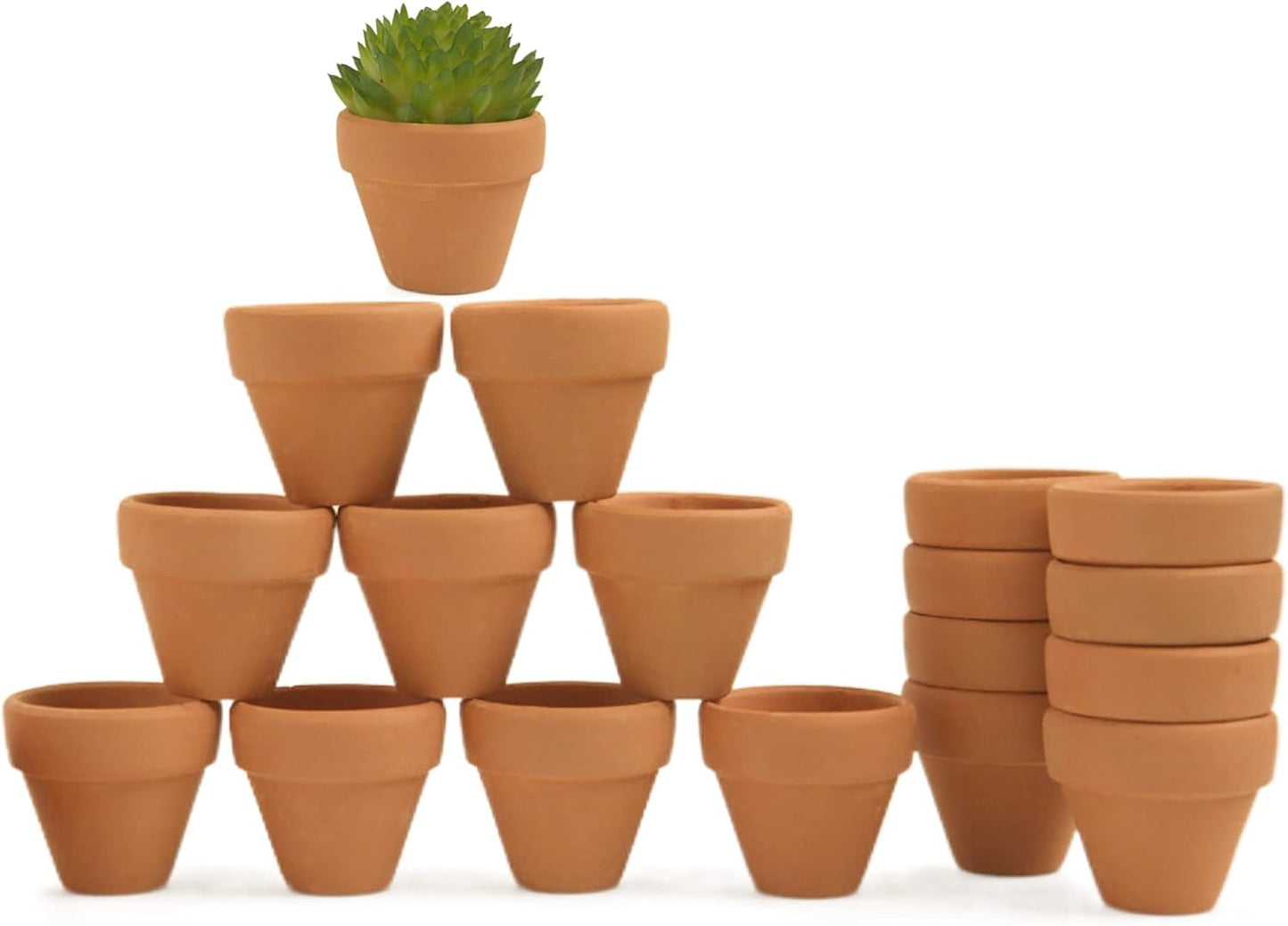 Macetas terracota 1.2pulg con drenaje para cactus y suculentas