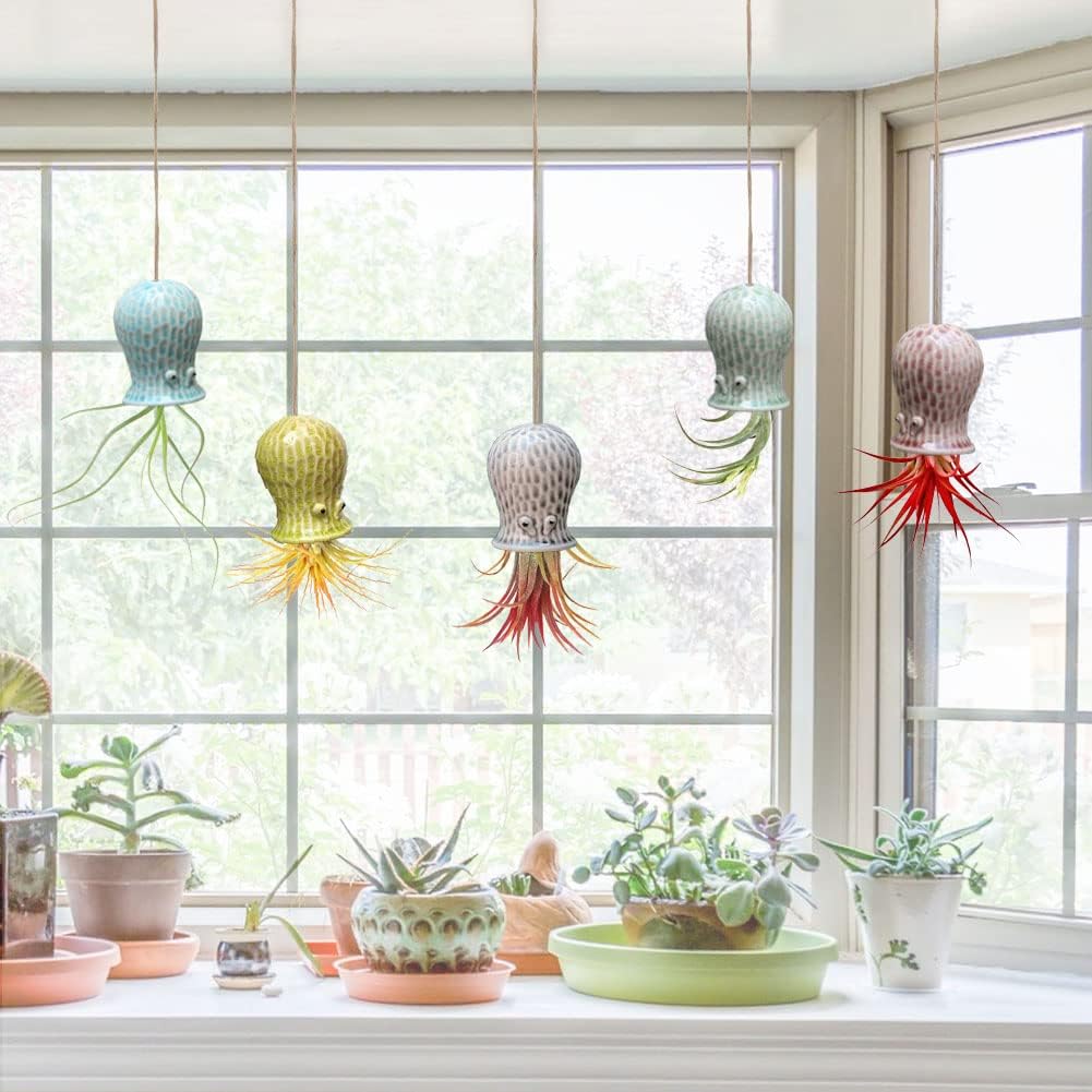 5 Soportes Cerámica para Plantas Aire Colgantes Decoración