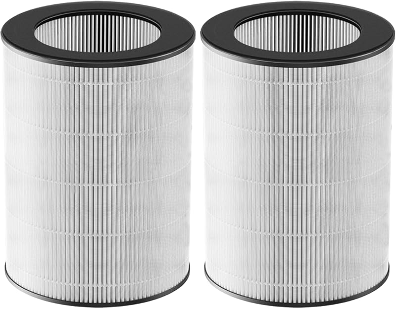 2 Filtros Purificador Aire Comp MC710S DR-HTF010S
