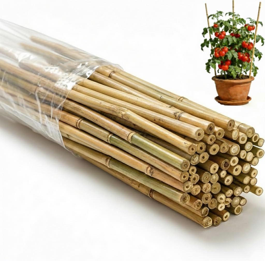 55 Estacas Bambú para Plantas Trepadoras 6ft