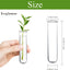 Accesorios vidrio terrario colgador plantas floreros decoracion