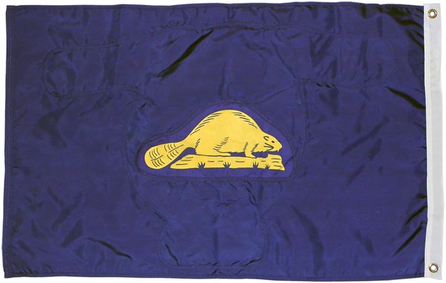 Bandera Oregon 4x6ft fabricada EE.UU.