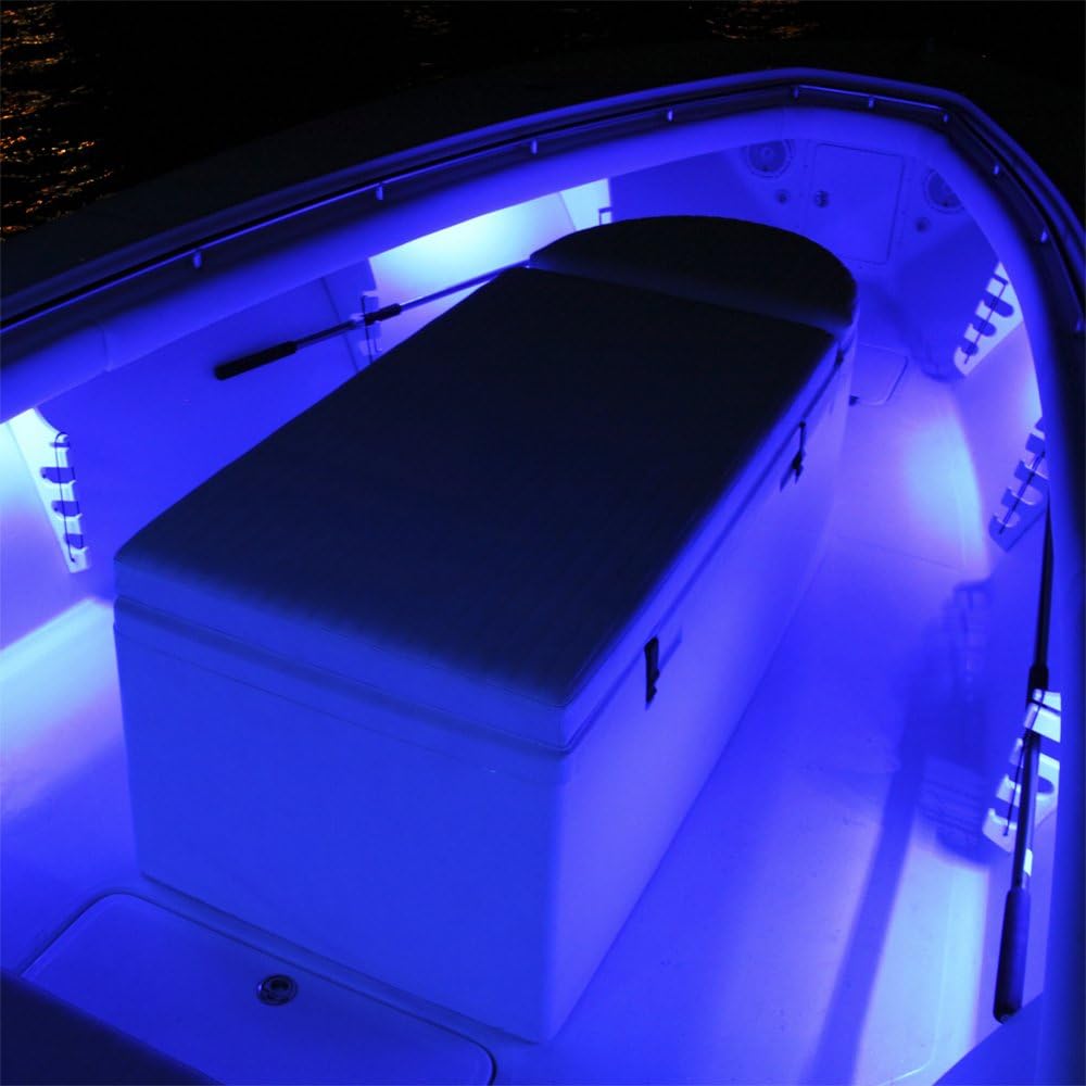 Luz salida regulable 12pulg Rail2 Blanco/Azul