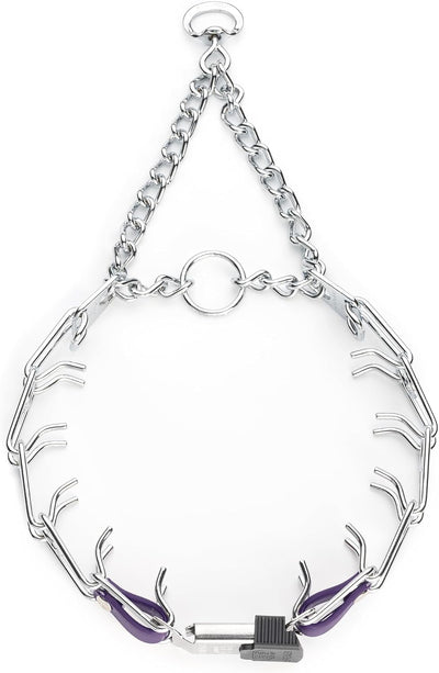 Collar perro acero cromado hebilla cliclock bioano 22"