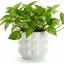 Maceta cerámica drenaje 4.5" redonda 3D blanco