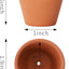Macetas terracota 1.9pulg set 36 con agujeros cactus suculentas
