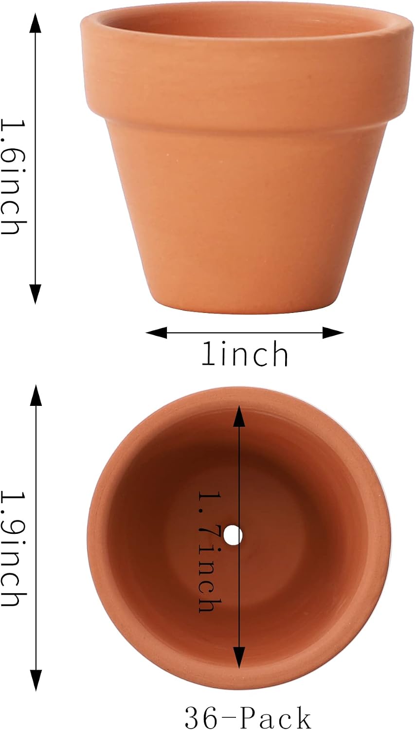 Macetas terracota 1.9pulg set 36 con agujeros cactus suculentas