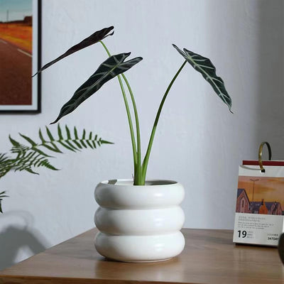 Maceta cerámica 6.5" diseño burbujas escalonadas blanco