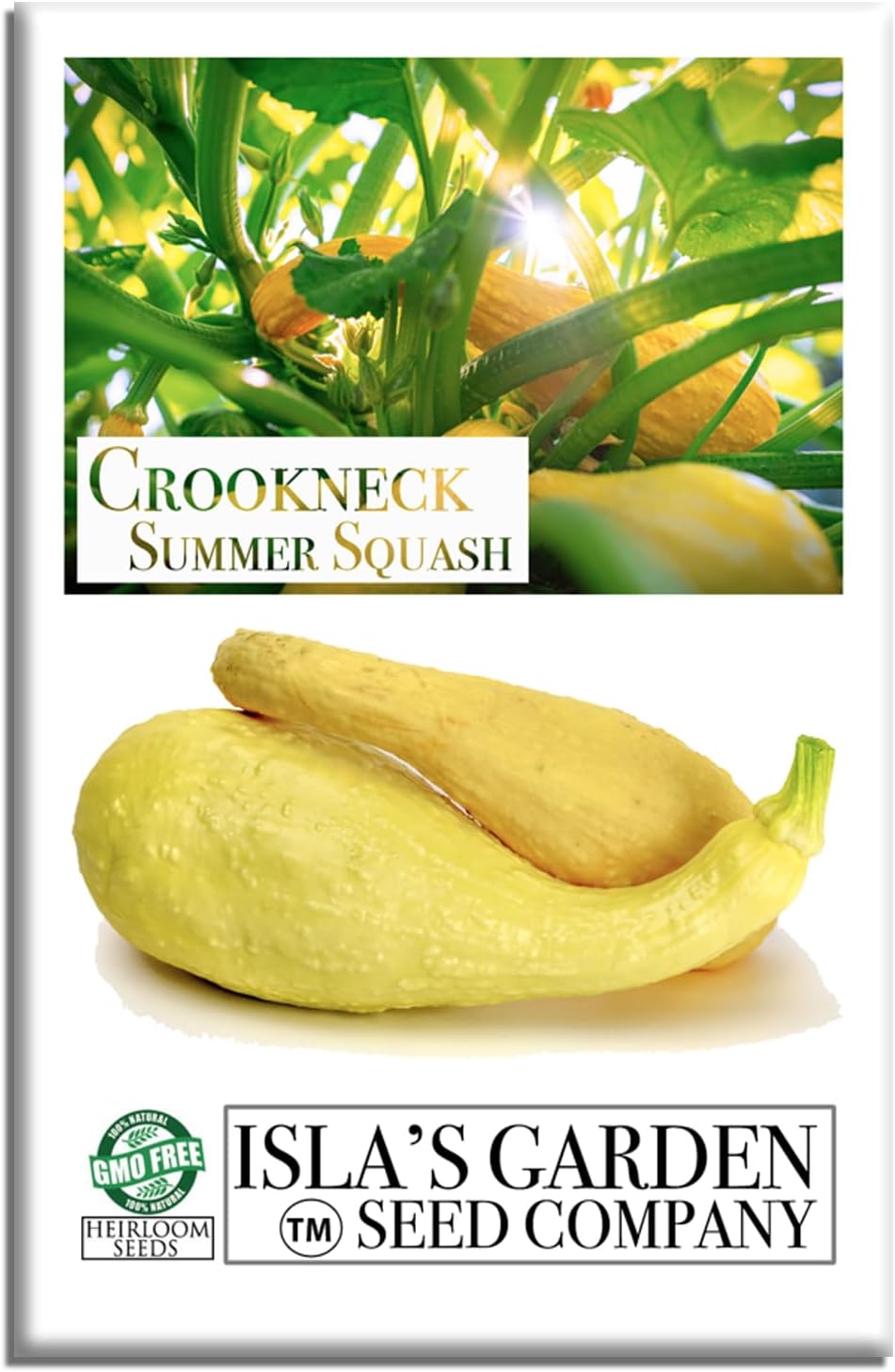 Semillas calabaza verano Crookneck 30 pzas sin OMG