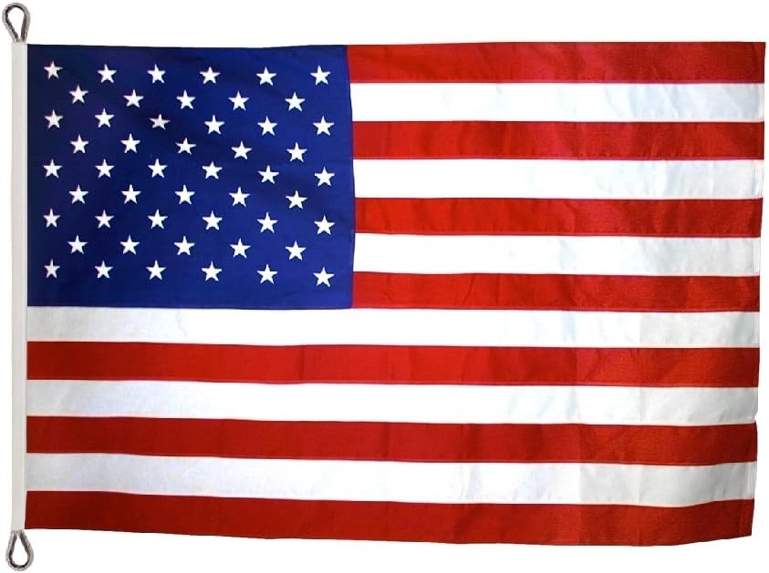 Bandera USA poliéster 8x12ft color blanco