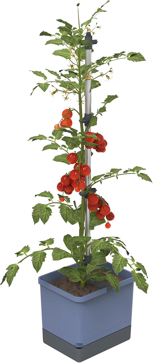 Maceta vertical tomates enrejado 1.2gal azul
