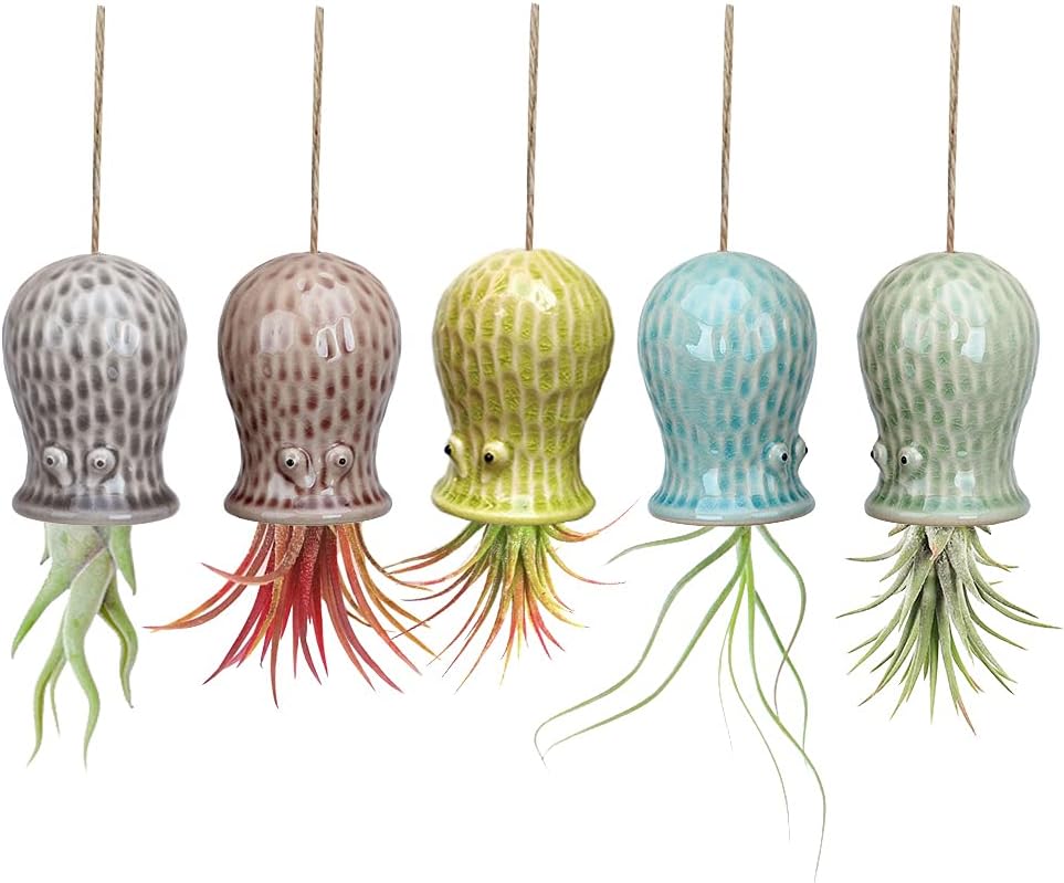 5 Soportes Cerámica para Plantas Aire Colgantes Decoración