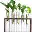 Estación propagación plantas 5 tubos vidrio escritorio marrón