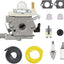Kit carburador Echo PB250 repuesto