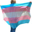 Bandera trans para pared 40x60pulg