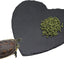 Plataforma sol reptiles 10x10pulg cuenco tortuga