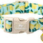 Collar perro verano ligero ajustable con hebilla plástico