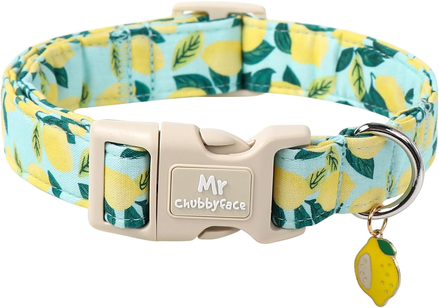 Collar perro verano ligero ajustable con hebilla plástico